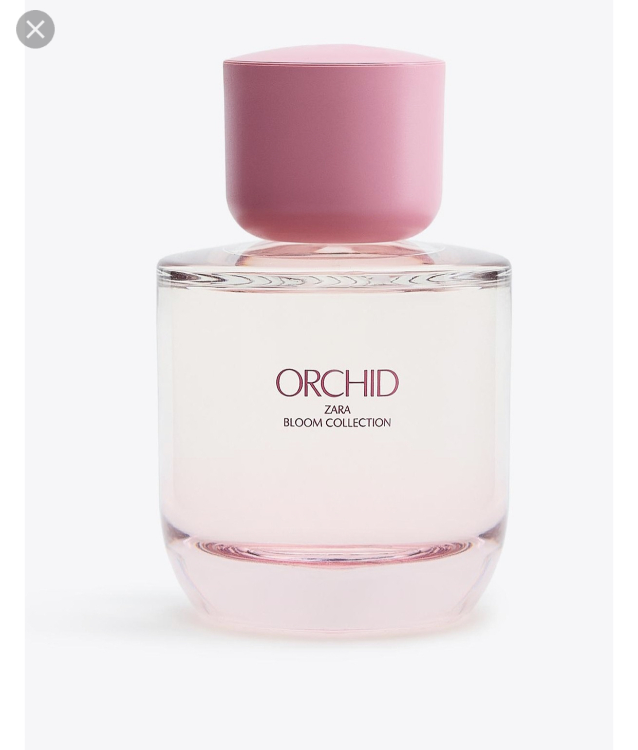 Parfum Zara Orchid