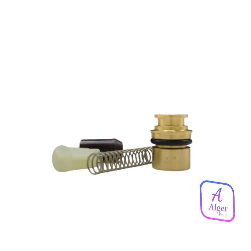 REGULATEUR CHAUFFE-BAIN PRESSION JUNKER 10L NOUVEAU