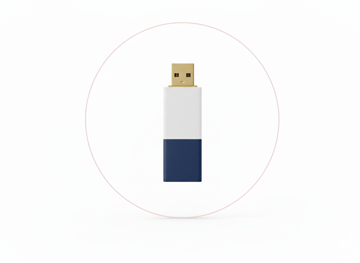 Flash Disk