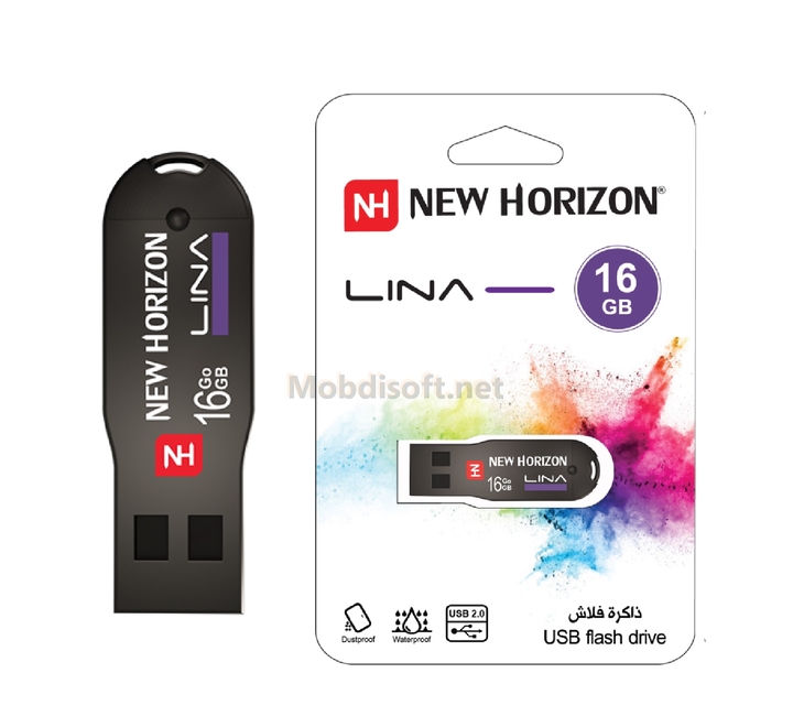  G 16 Flash Disk New Horizon
