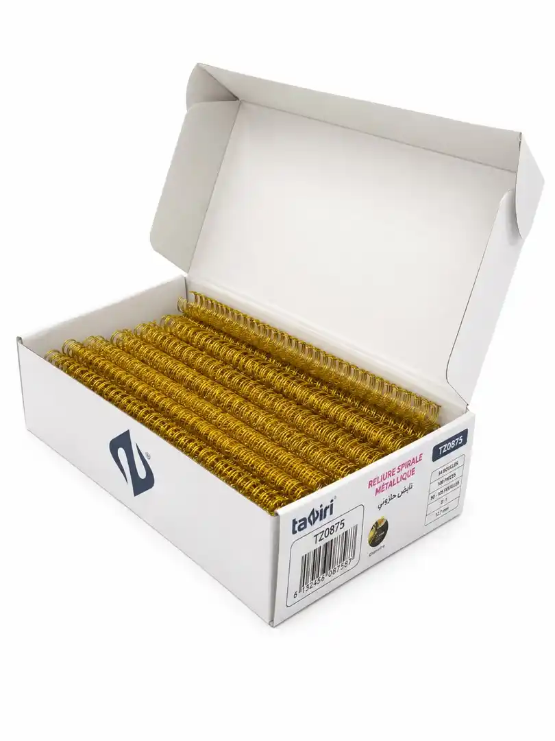 SPIRAL METALLIQUE 12.7MM BOIT 100PCS TZ0875 Noir
