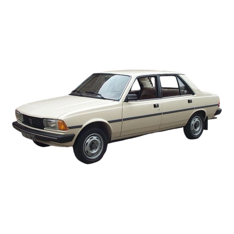 Peugeot 305