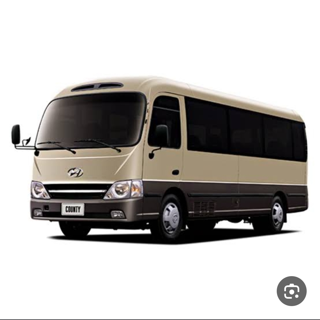 Hyundai County