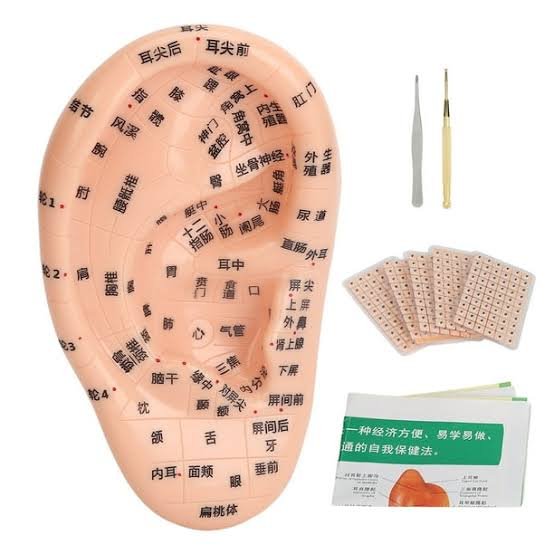 Kit d’auriculothérapie; 600 patches, carte démonstrative, modèle d’oreille, pince et stylet en cuivre