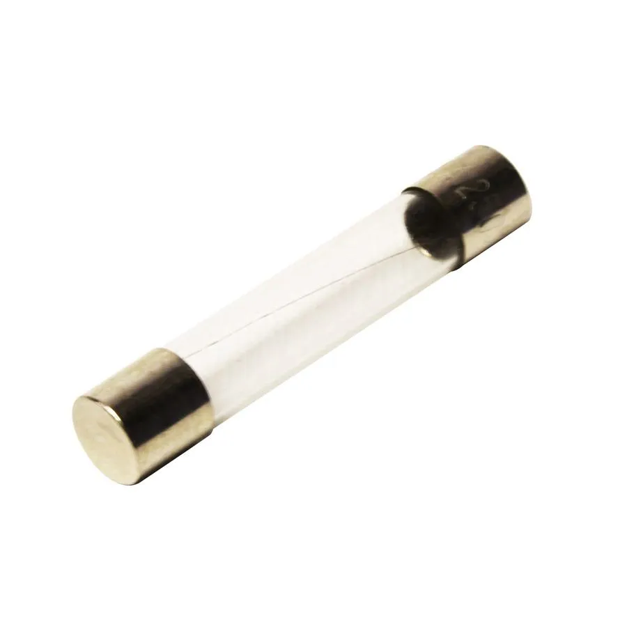 AGC Fuse - 3 A - 250 V 